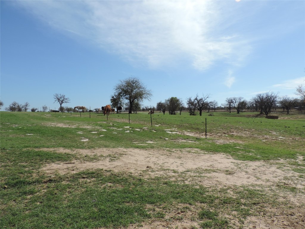 Picture 30