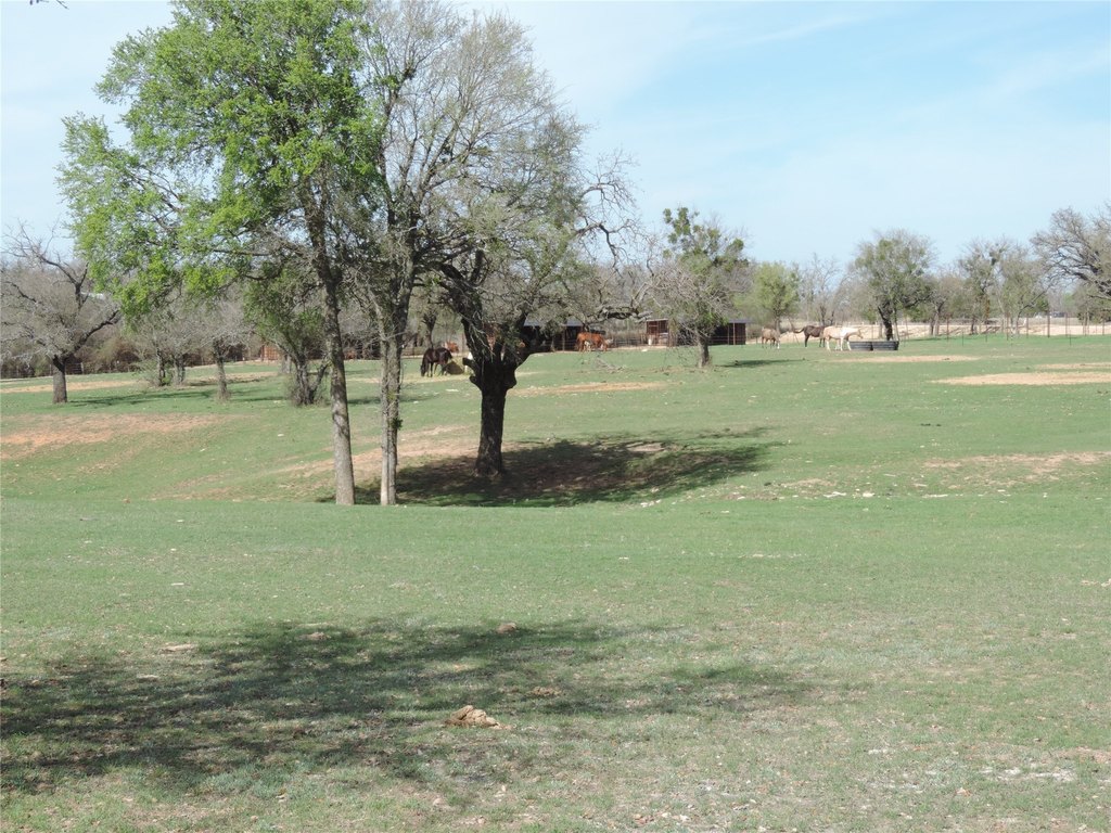 Picture 35