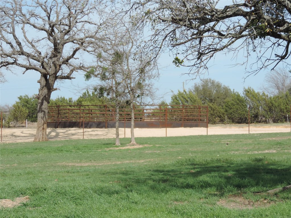 Picture 27
