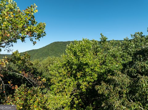 Land, Ellijay, GA