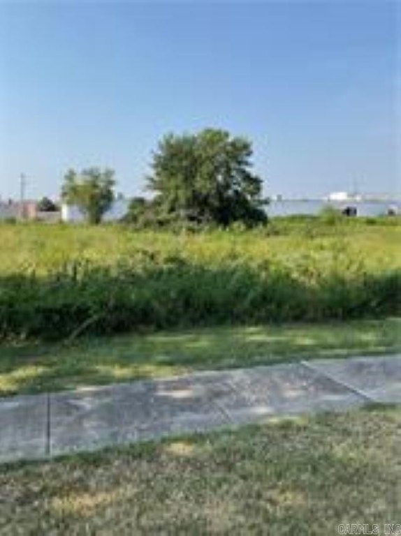 Picture 2