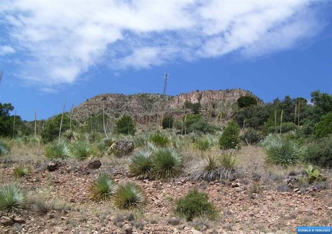 LAND - Mimbres, NM
