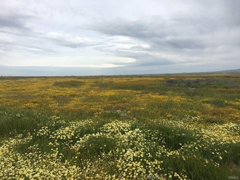 Land, California Valley, CA
