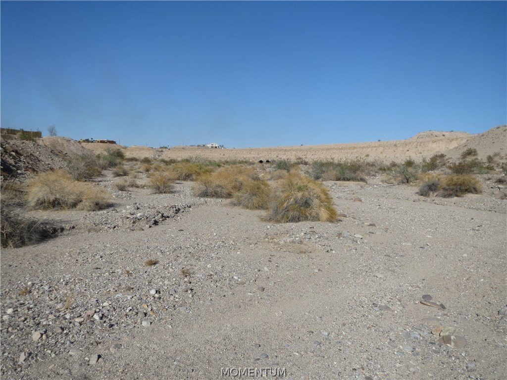Picture 5