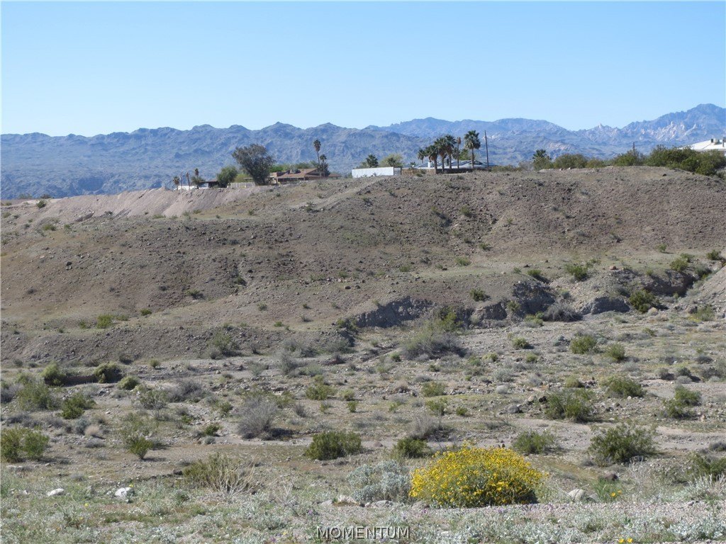 Picture 6