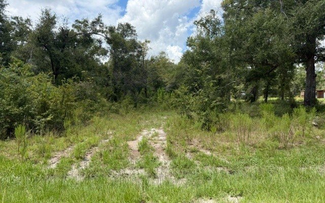 Picture 9