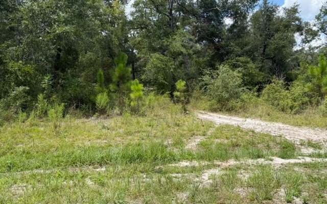 Picture 8
