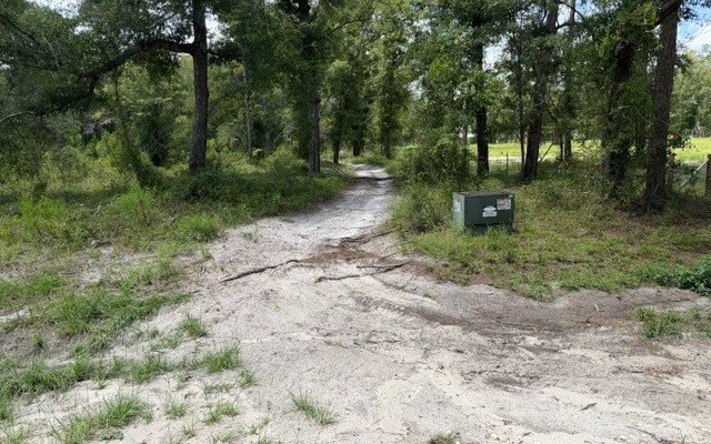 Picture 2