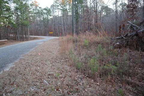 Heavily Wooded Lot Near Lake