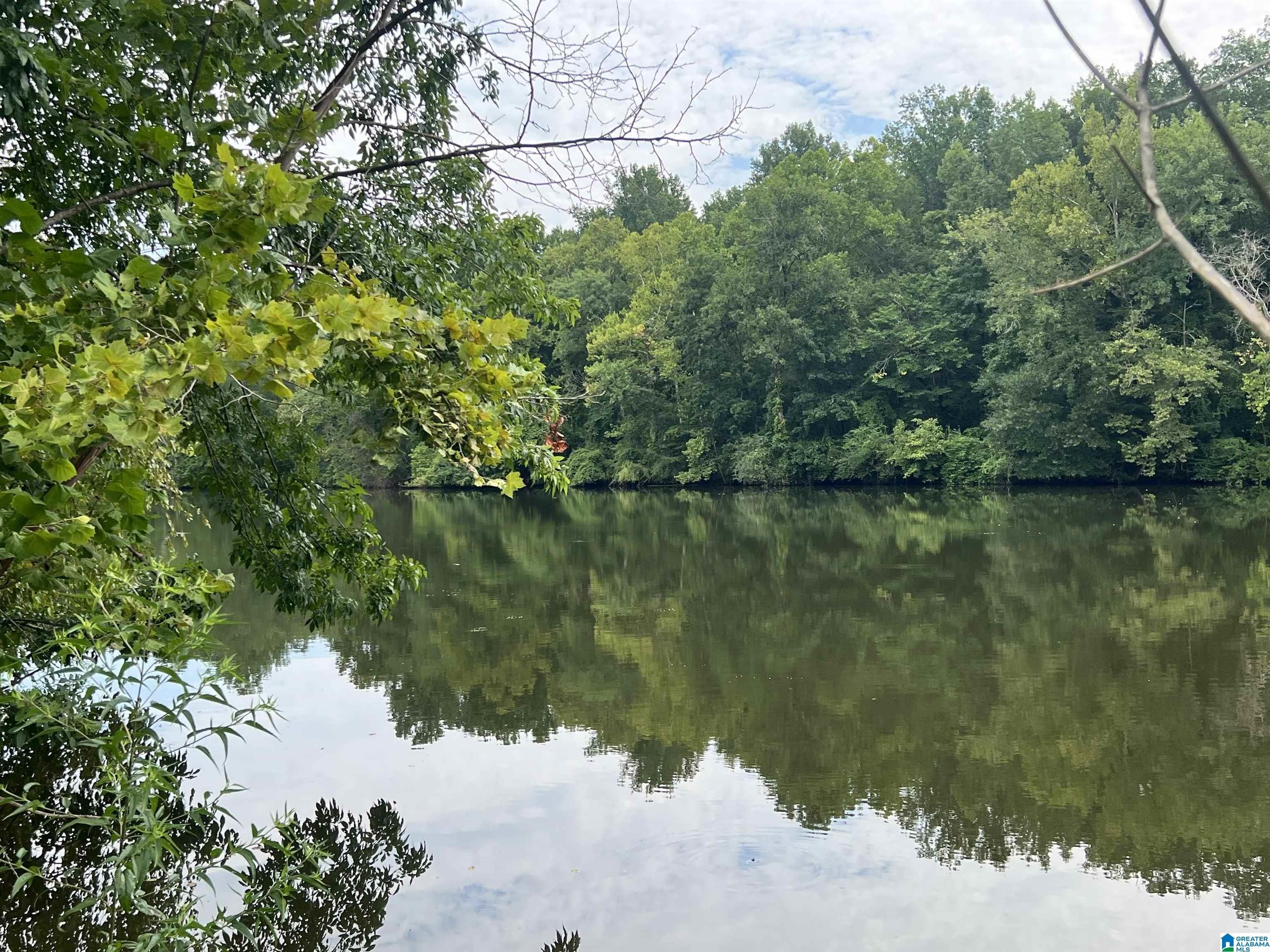 Waterfront Acreage in Bessemer, Alabama