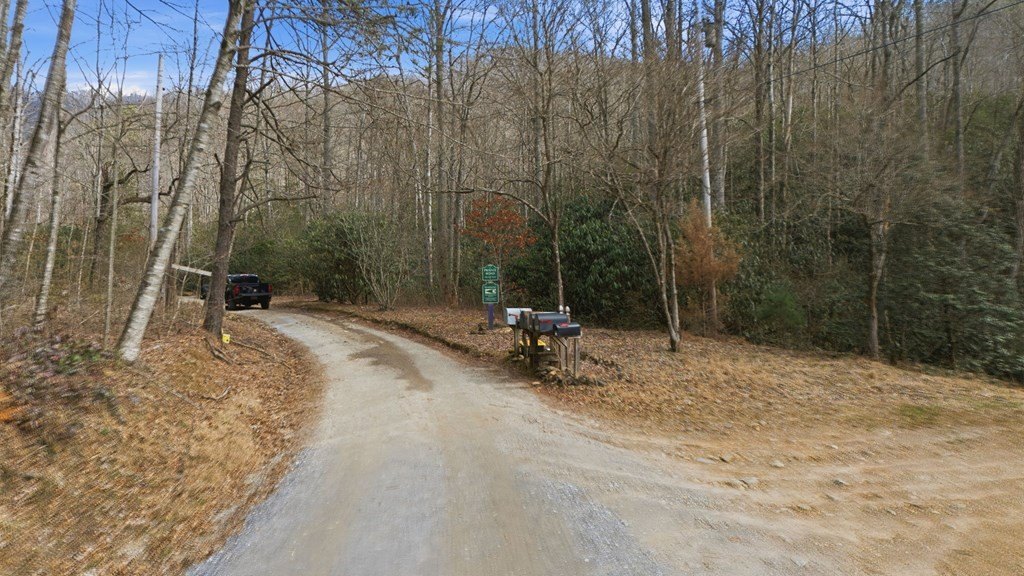 Picture 18