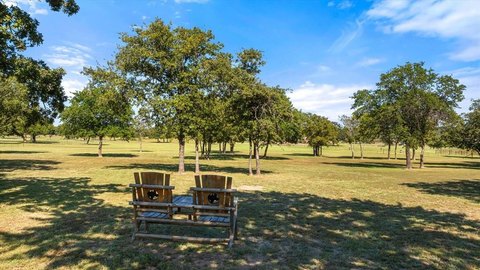Stephenville Land with Mature Trees