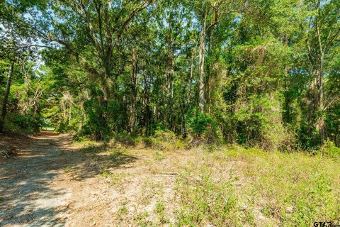 Land, Tyler, TX