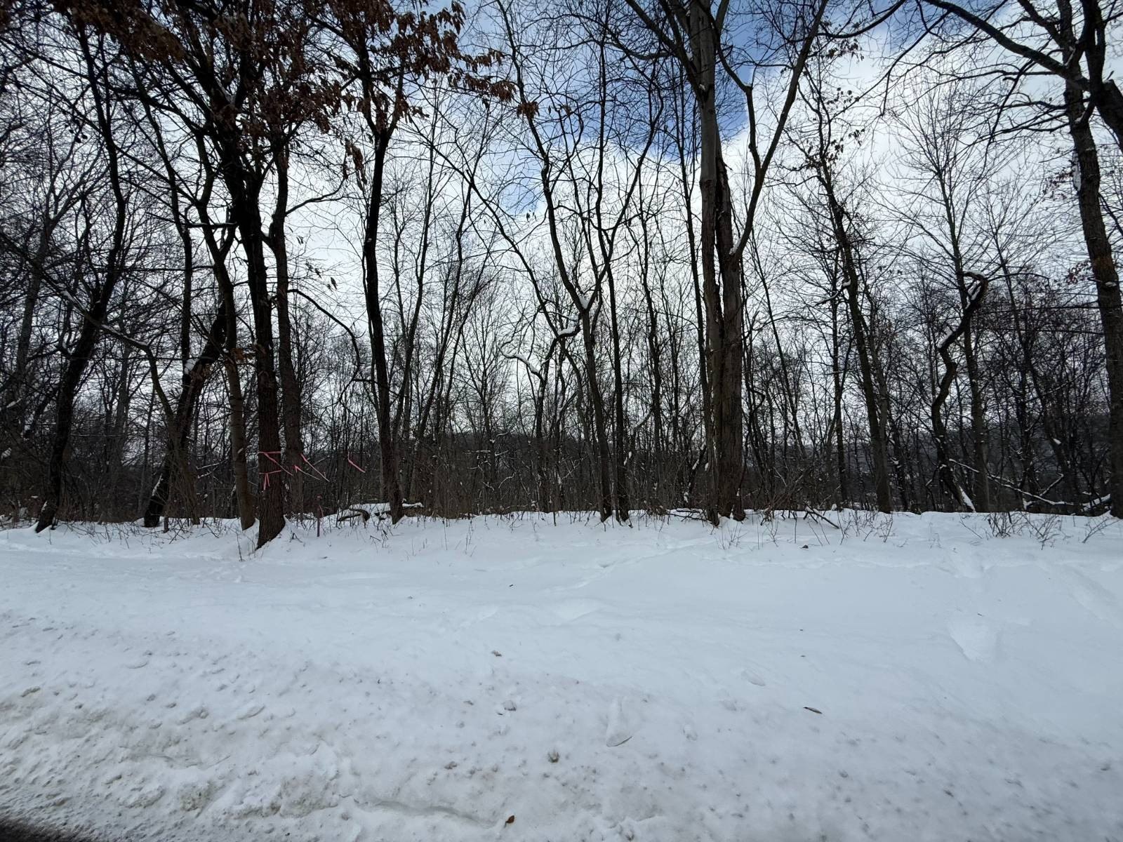 10 Acres Vacant Land
