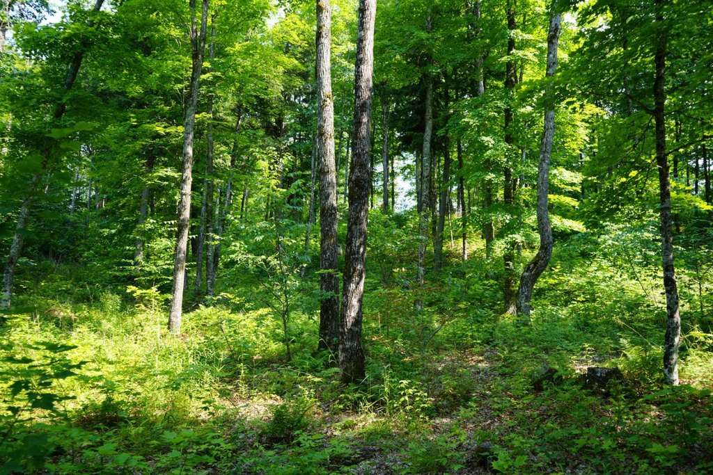 Picture 3