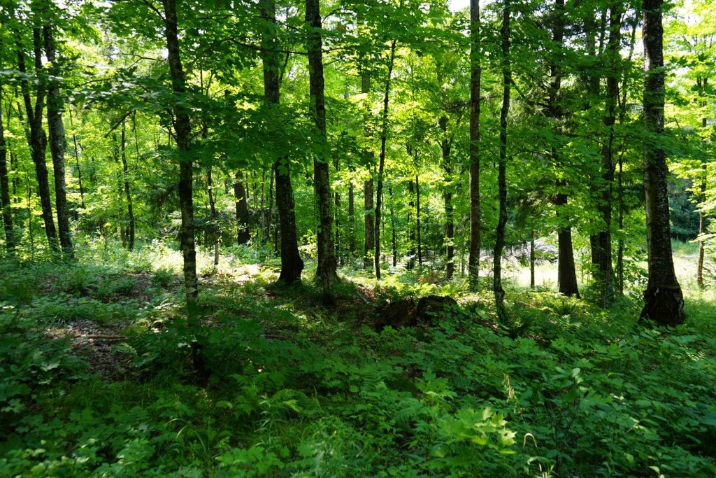 Picture 16
