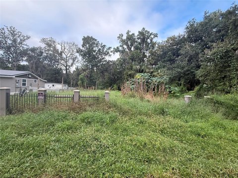 Land, LEESBURG, FL