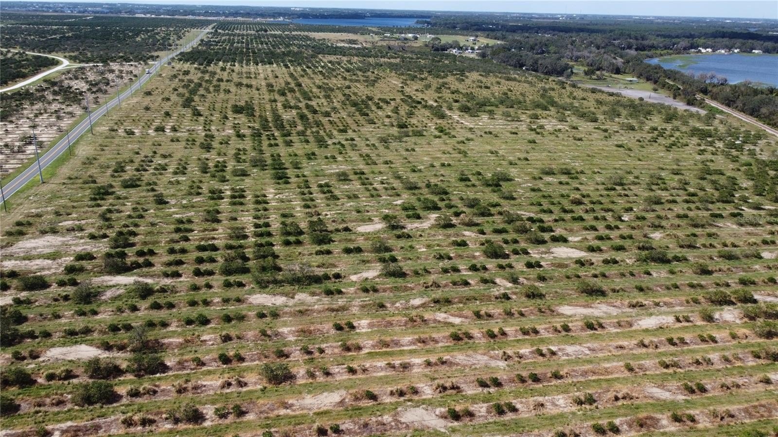 36+ Acres Land Opportunity