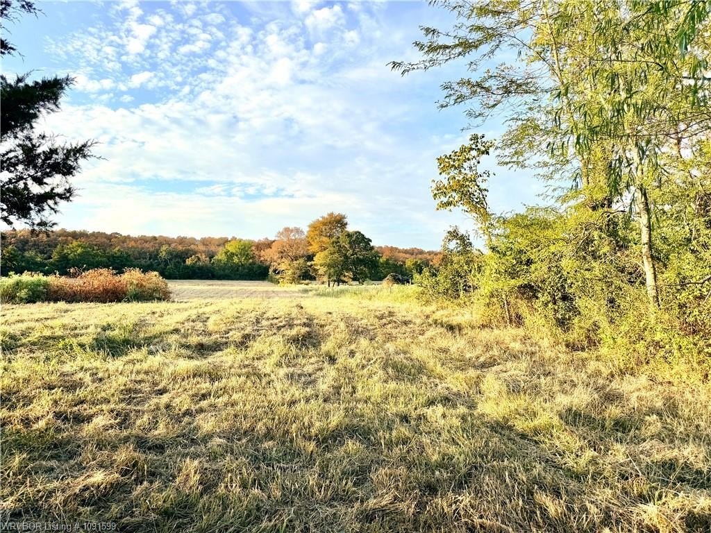 Picture 22