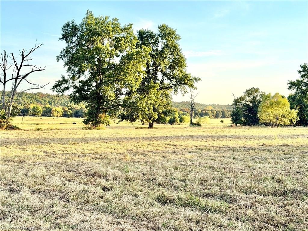 Picture 8