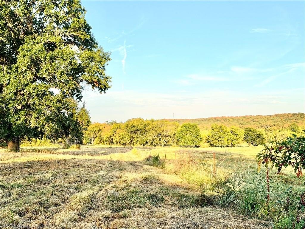 Picture 19