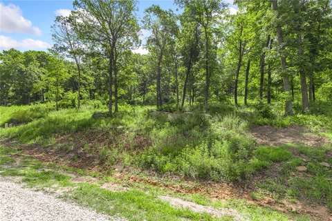 Harrison, AR Land For Sale