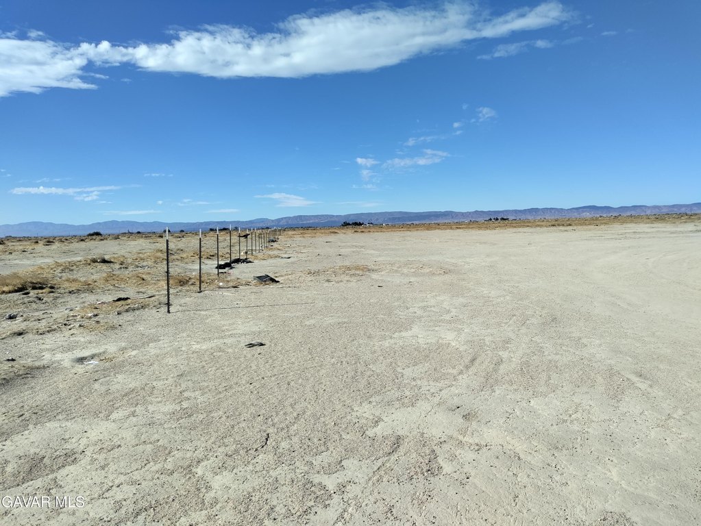 Picture 17