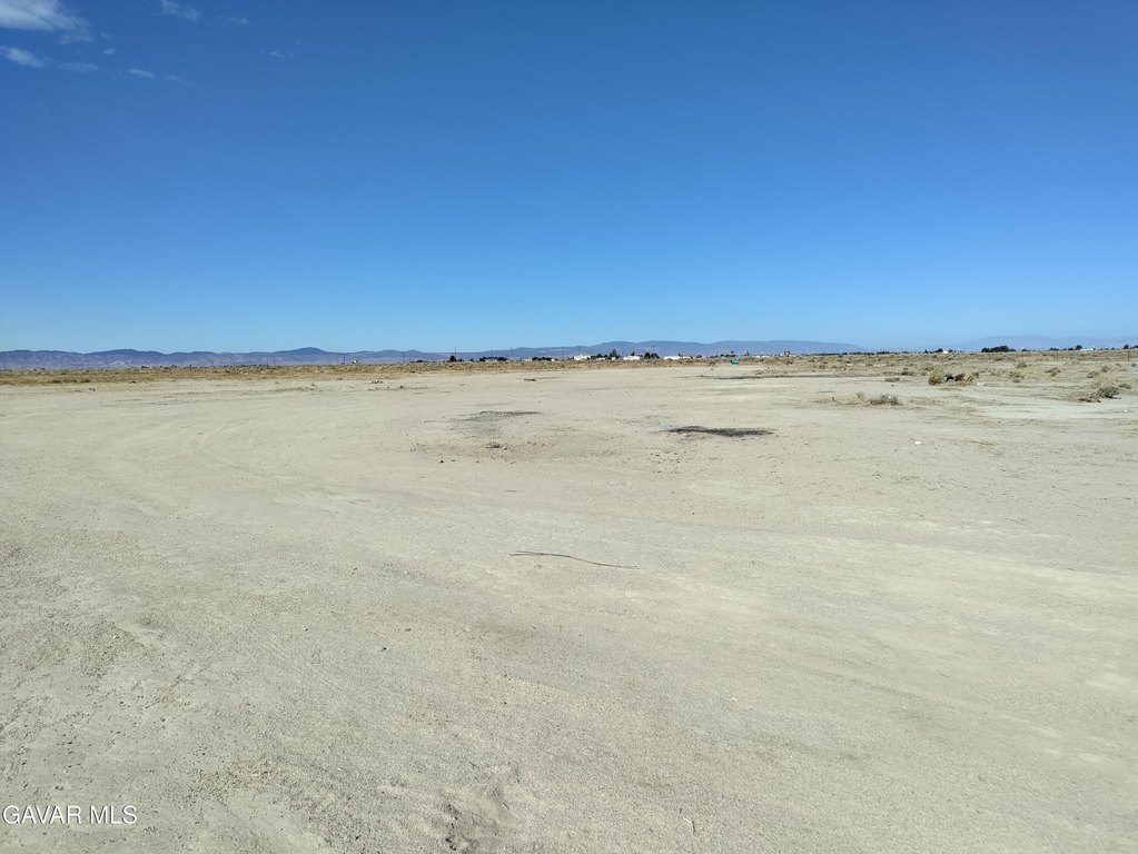 Picture 15