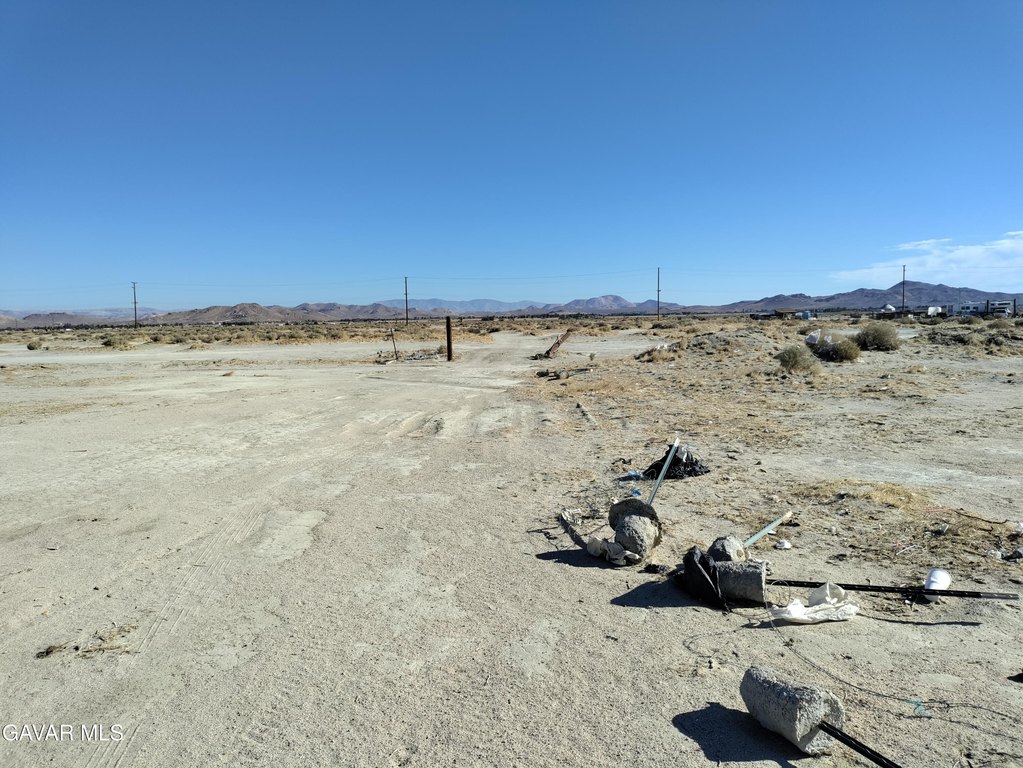 Picture 14