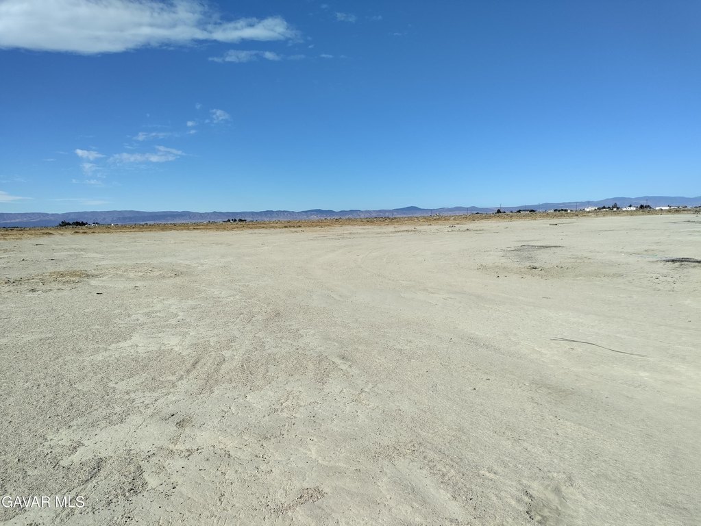 Picture 16