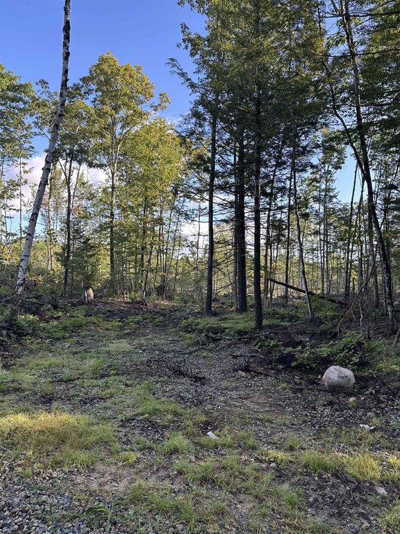 Picture 7