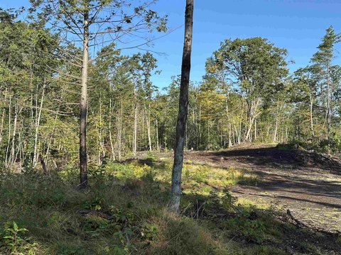 Land, Ossipee, NH
