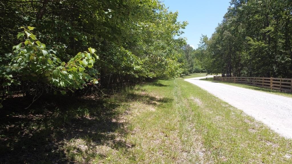 Long Branch Land Opportunity
