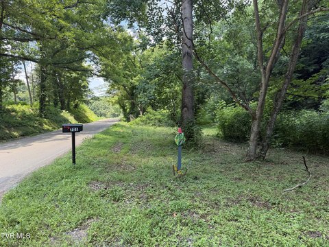 Residential Homesite with Creek