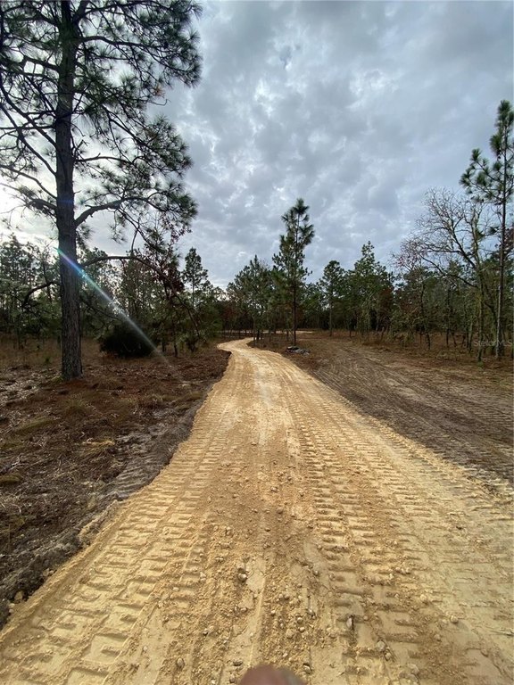 Picture 5