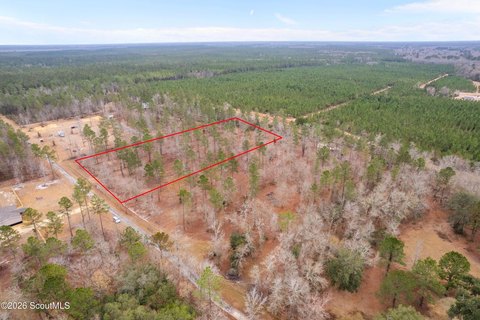 LAND - Jesup, GA