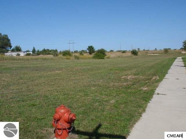 Picture 5