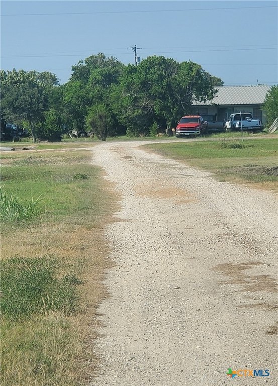 Picture 3