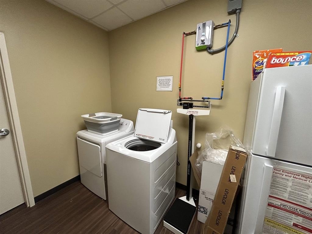 Picture 17