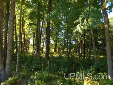 Secluded Lakefront Land Parcel