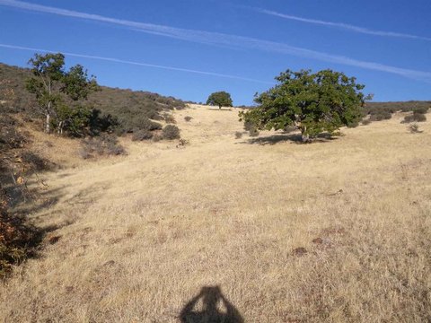 Land, Hornbrook, CA
