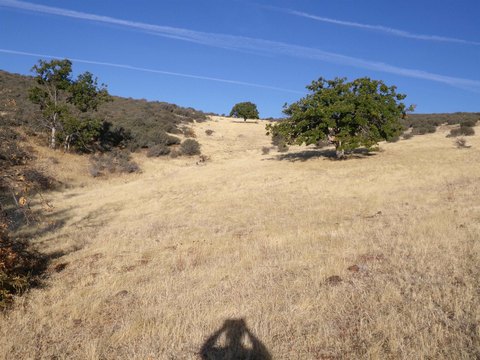 LAND - Hornbrook, CA