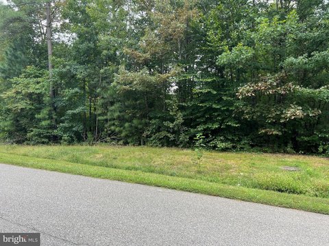 Wooded Lot in Noah's Landing
