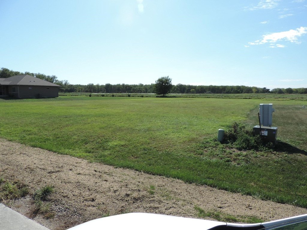 Picture 6