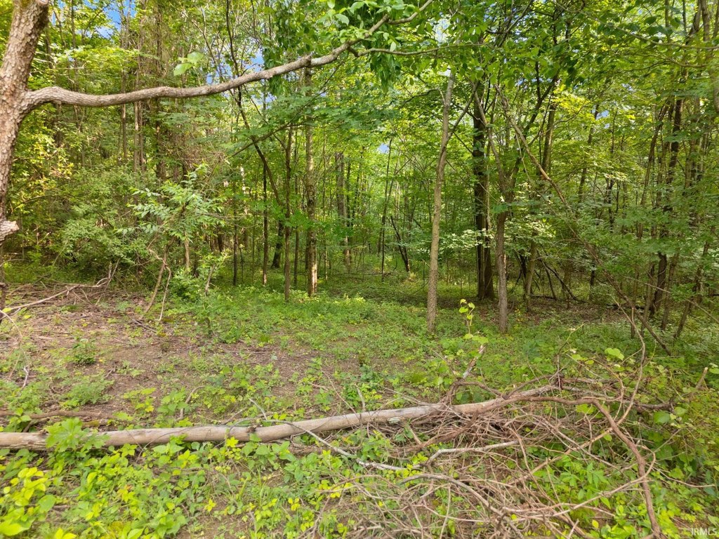 Picture 25