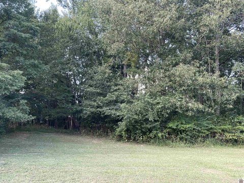 Saddle Creek Building Site