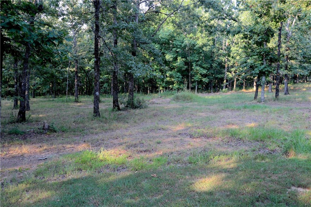 Picture 33