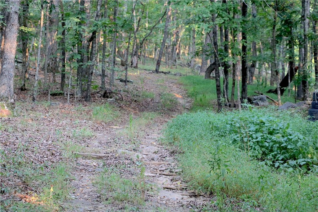 Picture 16