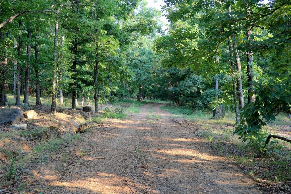 Picture 38