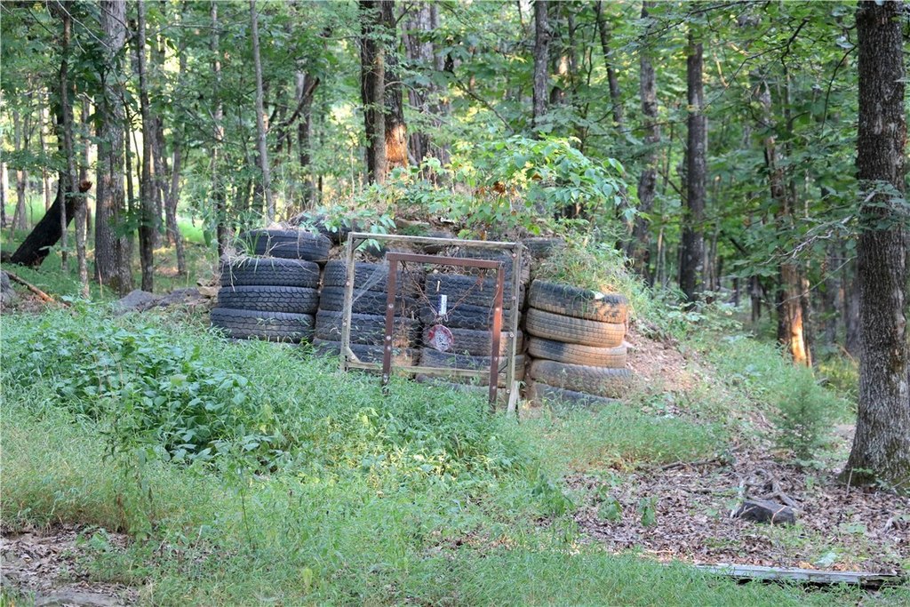 Picture 15